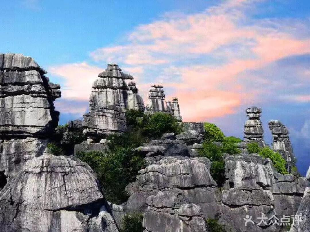 Stone Forest Mijia Guest House Shilin Eksteriør bilde
