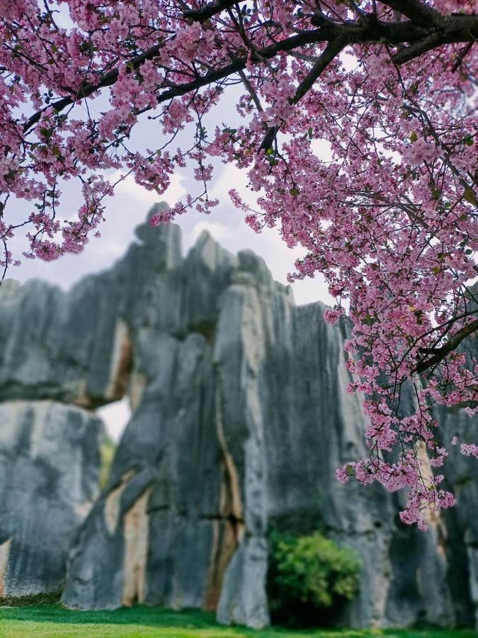 Stone Forest Mijia Guest House Shilin Eksteriør bilde